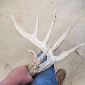 Meet your Posher, Branson